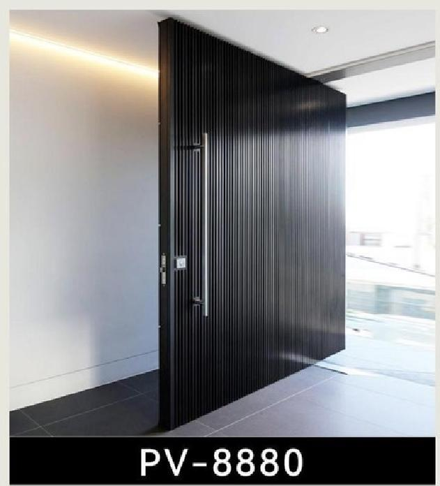 Aluminum Black Entry Pivot Door