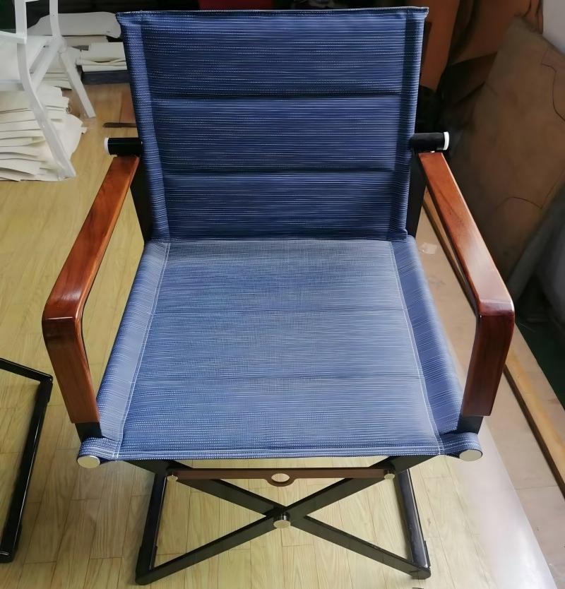 Director Chair